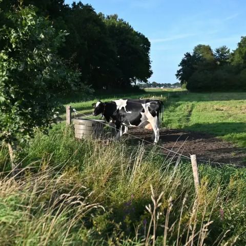 Vodatent Camping Hunze Bulten - Aa und Hunze - Image N°6