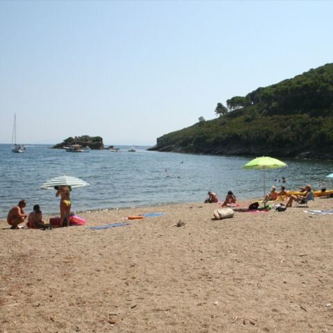 Vodatent Tenuta delle Ripalte - Livorno - Image N°5