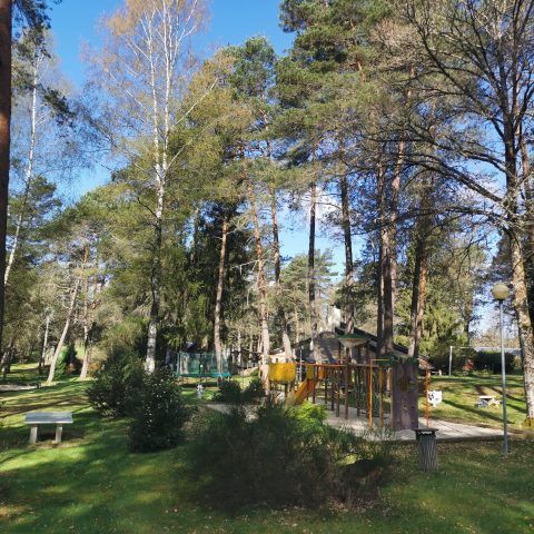 Camping Les Sapins de Corrèze - Corrèze - Image N°4