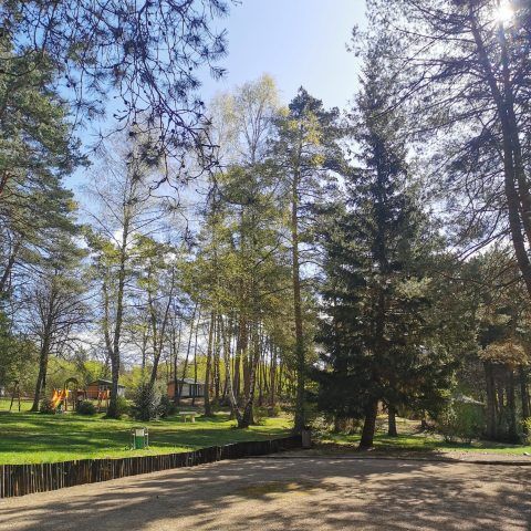 Camping Les Sapins de Corrèze - Corrèze - Image N°3