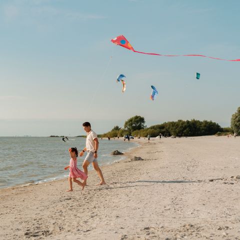 MarinaPark Beach Resort Soal - Südwest-Friesland - Image N°3