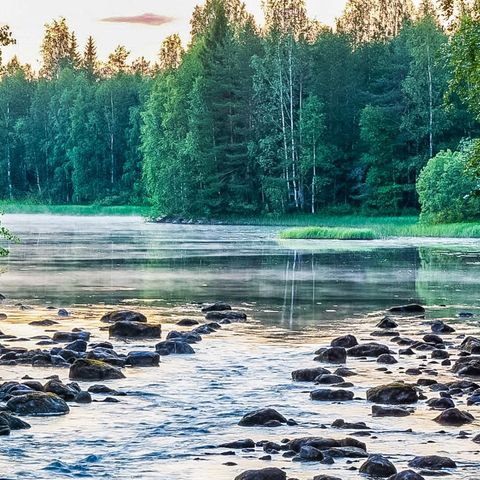 Vaikko Riverside Resort - North Karelia - Image N°3