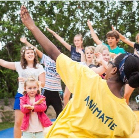 Kustpark Nieuwpoort - Westflandern - Image N°6