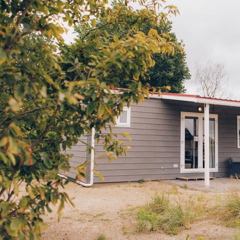 Lodge 6 personen - Düne