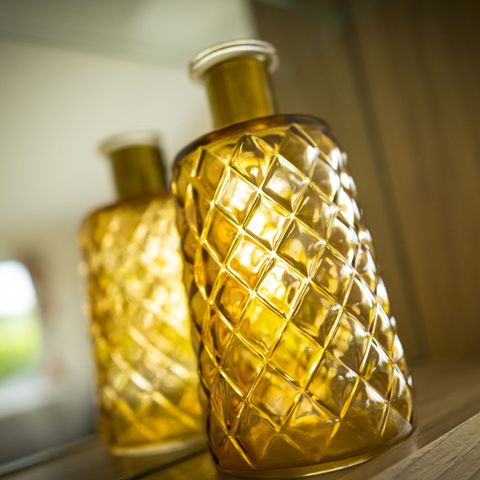 LODGE 5 Personen - Schmetterling