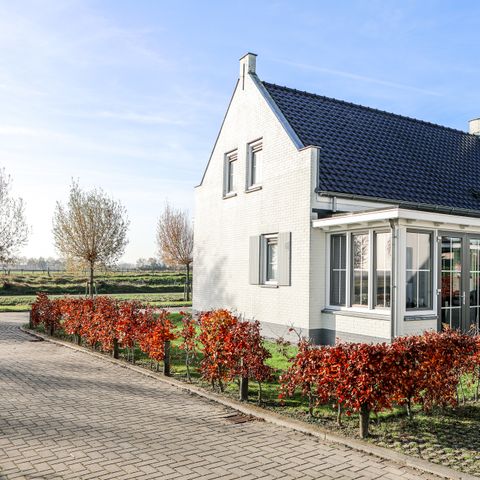 FERIENHAUS 8 Personen - Standort: Wolphaartsdijk – 9