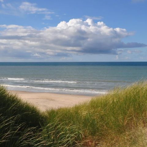 Vodatent Tornby Strand Camping - Nordjutland - Image N°3
