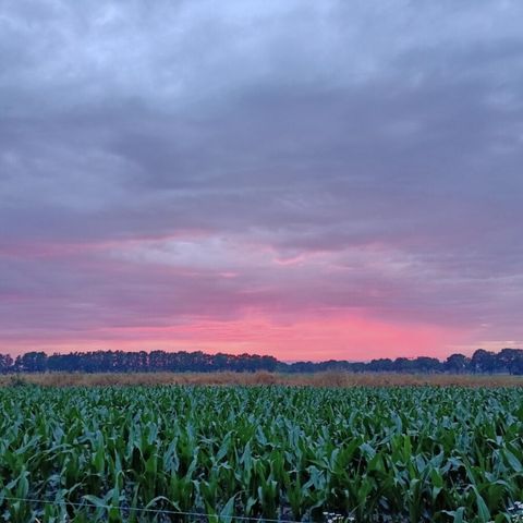 Vodatent Boerderijcamping het Katreel - Haaksbergen - Image N°6
