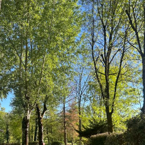 Vodatent Camping Les Rives de Courtes - Gers - Image N°6