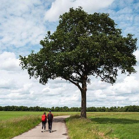 Landgoed de Huynen - Aa und Hunze - Image N°5