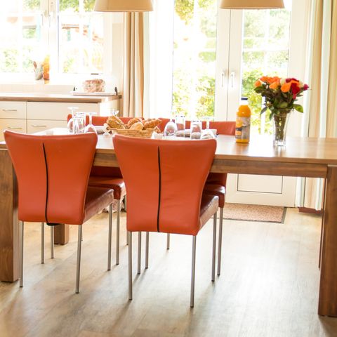 Bungalowparck Tulp & Zee - Noordwijk - Image N°4