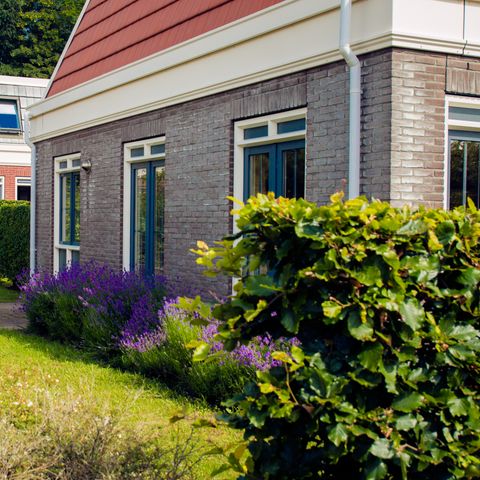 Bungalowparck Tulp & Zee - Noordwijk - Image N°3