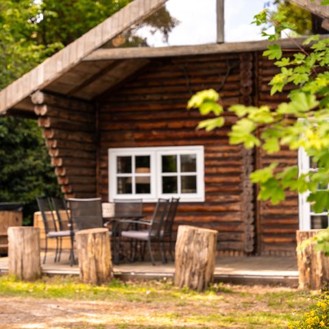 FERIENHAUS 6 Personen - „Huys van de Boswachter“ mit Whirlpool