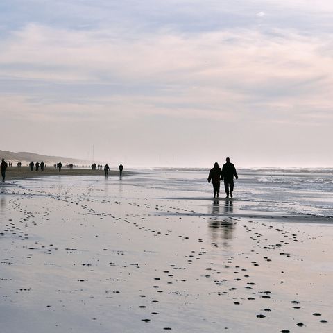 Waterhuisjes Egmond aan Zee - Bergen - Image N°2