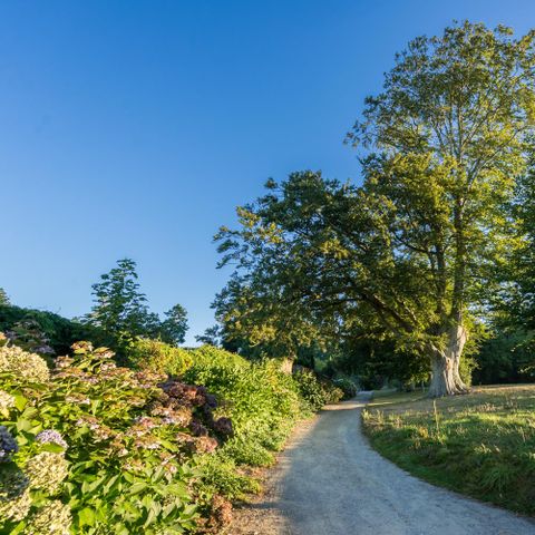 FERIENHAUS 2 Personen - Maison du Bateau (privater Garten)