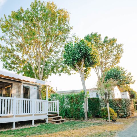 Mobilheim 6 personen - Sonntag – - SUNELIA - CONFORT - PLUS - 3 Schlafzimmer - – 35 m² – überdachte Terrasse