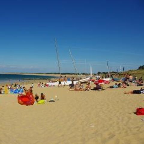 Camping Les Pérouses du Phare - Charente-Maritime - Image N°3