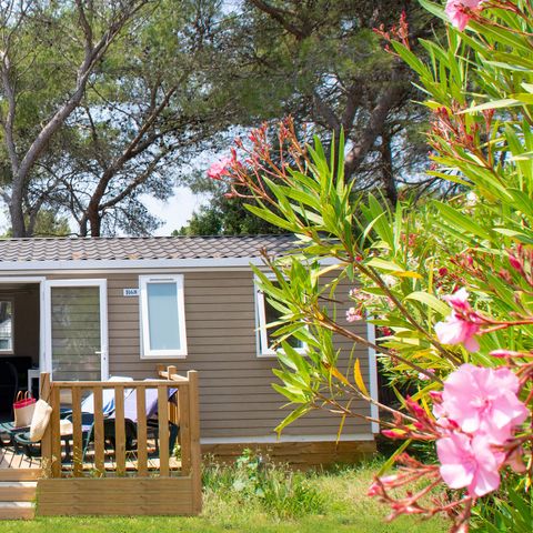 Bungalow 8 Personen - LUXUS