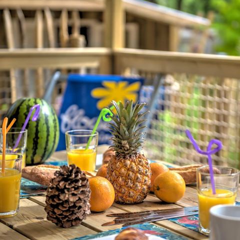 LODGE 5 Personen - Cosyflower 2 Zi -TV-Plancha-überdachte Terrasse-28m² | CONFORT