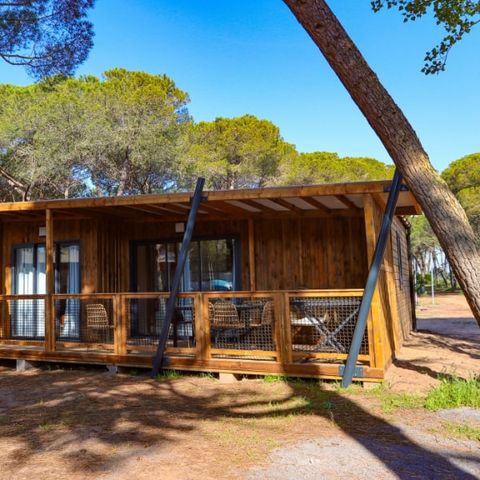 Mobilheim 4 personen - Cottage Cosy - 2CH 2SDB