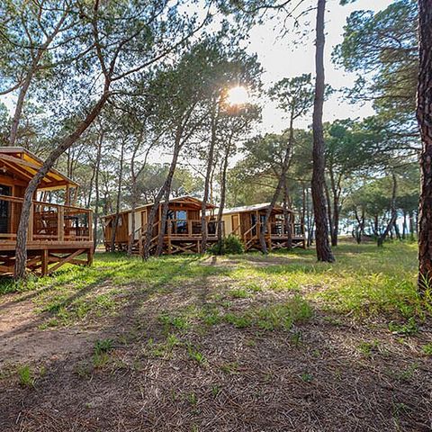 Camping La Tamarissière - Hérault - Image N°4