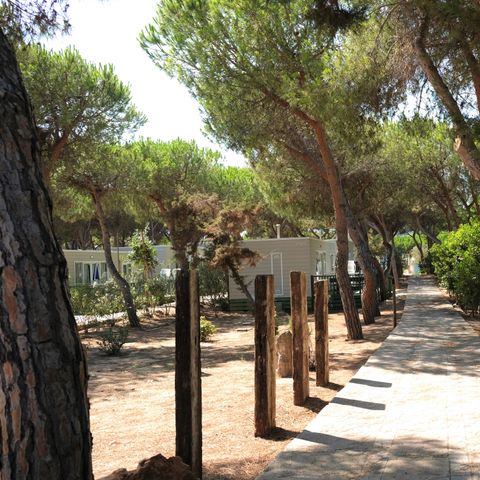 Mobilheim 4 Personen - Torre Riviera Superior