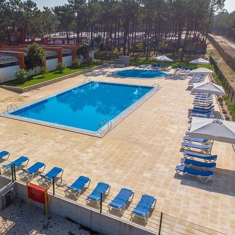 Camping Orbitur Vagueira - Zentralportugal - Image N°2