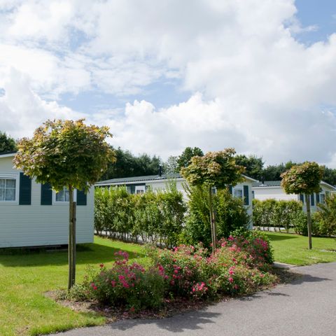 Chalet 6 Personen - Bevelander