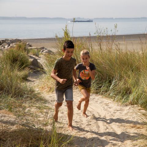 Camping Scheldeoord - Borsele - Image N°3