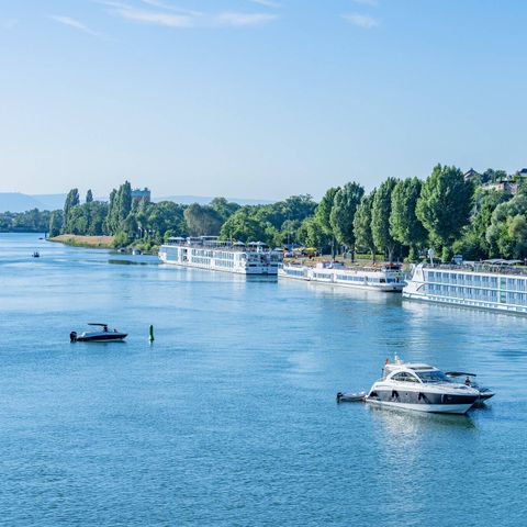Camping L'Île du Rhin - Haut-Rhin - Image N°3