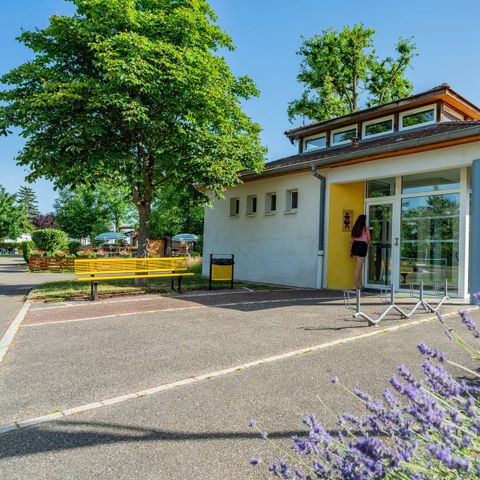 Camping L'Île du Rhin - Haut-Rhin - Image N°5