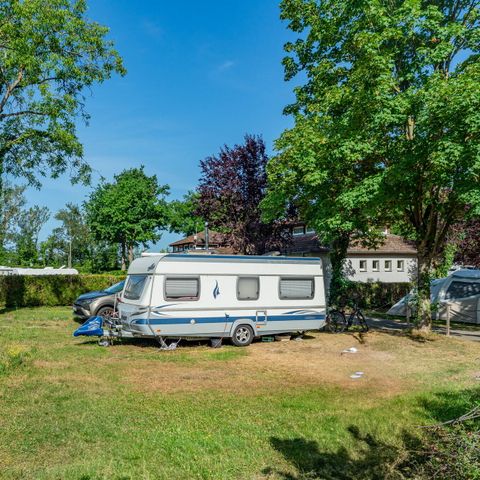 Camping L'Île du Rhin - Haut-Rhin - Image N°4