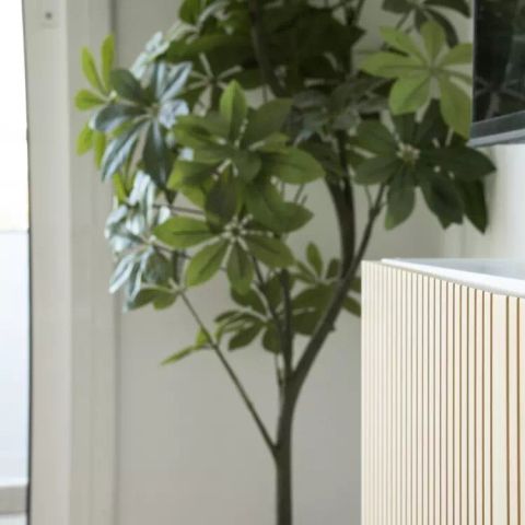 Apartement 4 Personen - 2-Zimmer-Wohnung 2/4 Personen Klimatisiert + TV