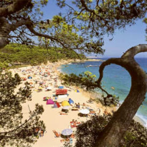 Camping International de Calonge - Camping Girona - Image N°3