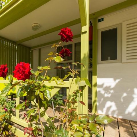 Bungalow 3 Personen - Bungalow B