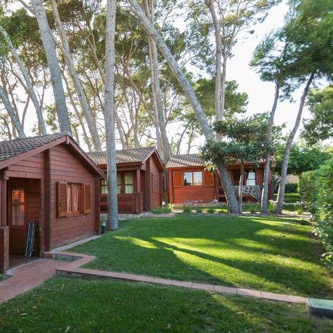Bungalow 4 Personen - LLEBEIG