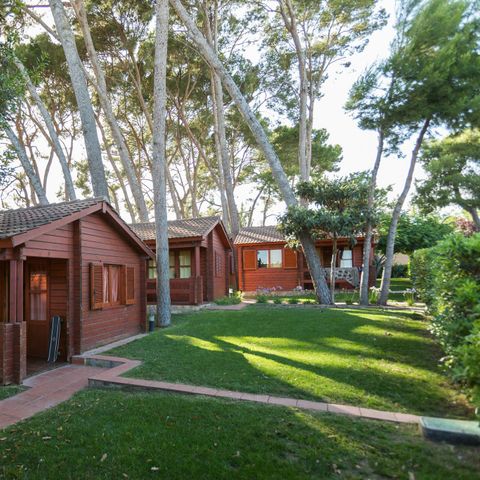 Bungalow 4 personen - LLEBEIG