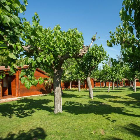 Bungalow 5 Personen - GREGAL