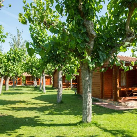Bungalow 5 Personen - Mestral