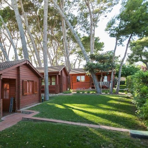Bungalow 5 personen - Klimatisierter Bungalow 4/5 Personen (ca. 36 m²)