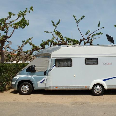 Stellplatz - Premium-Stellplatz: Auto + Zelt/Wohnwagen oder Wohnmobil + Strom 5A