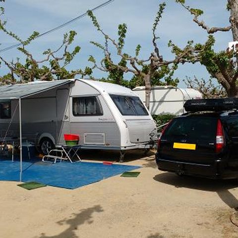 Stellplatz - Premium-Stellplatz: Auto + Zelt/Wohnwagen oder Wohnmobil + Strom 5A