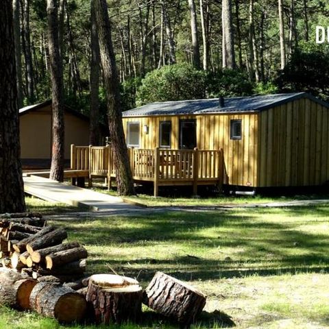 Mobilheim 4 Personen - COTTAGE PREMIUM PMR | 4 Pers. | 2 Schlafz.