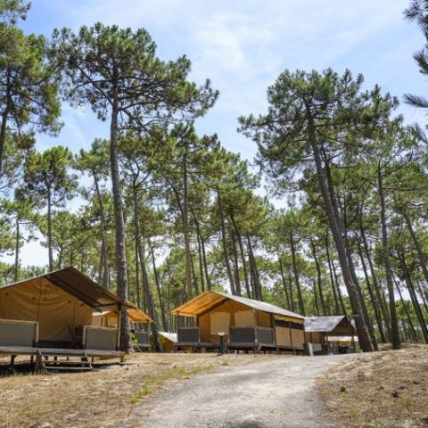 Safarizelt 5 Personen - Komfort-Lodge 4-5 Personen - Leinwand & Holz - 30 m² - 2 Zimmer - Strom - Bad