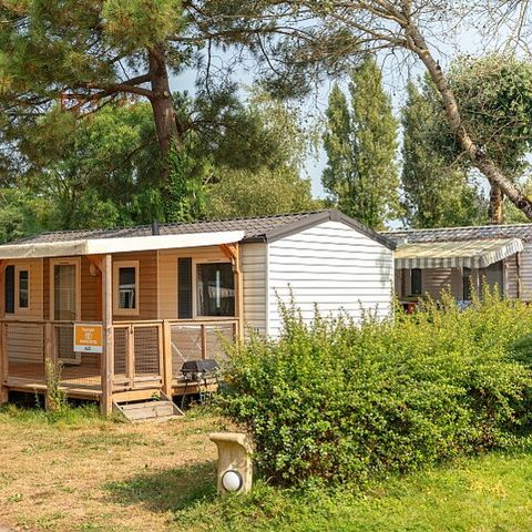 Mobilheim 6 Personen - Mobilheim | Comfort | 3 Zi. | 6 Pers. | Erhöhte Terrasse