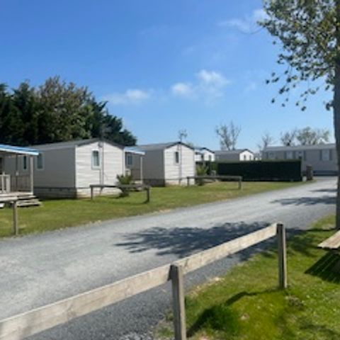 Mobilheim 6 Personen - 6 Confort Plus - 31m² - 3 Zimmer + halboffene Terrasse