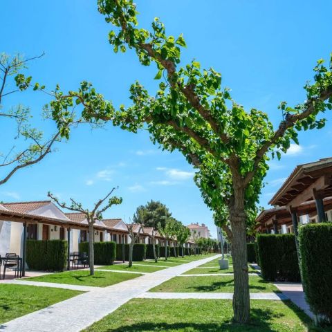 Bungalow 4 Personen - A1 Classic