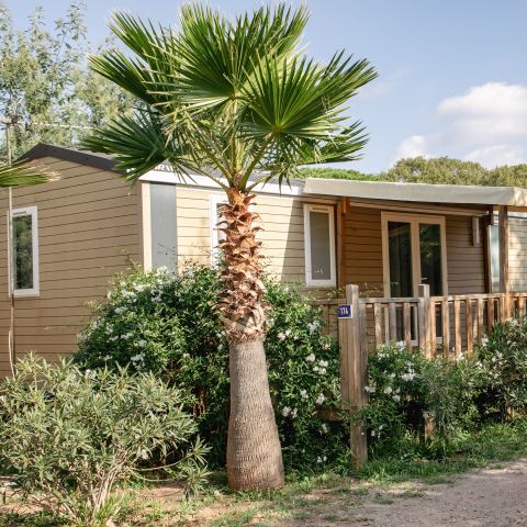 Mobilheim 6 Personen - CORDELIA