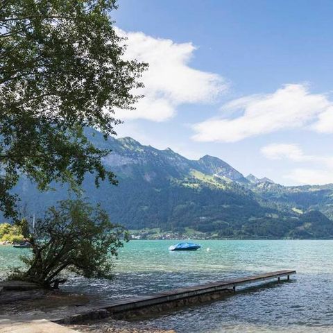 Camping Manor Farm - Camping Berner Oberland - Image N°4