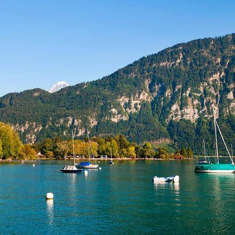 Camping Manor Farm - Camping Berner Oberland - Image N°2